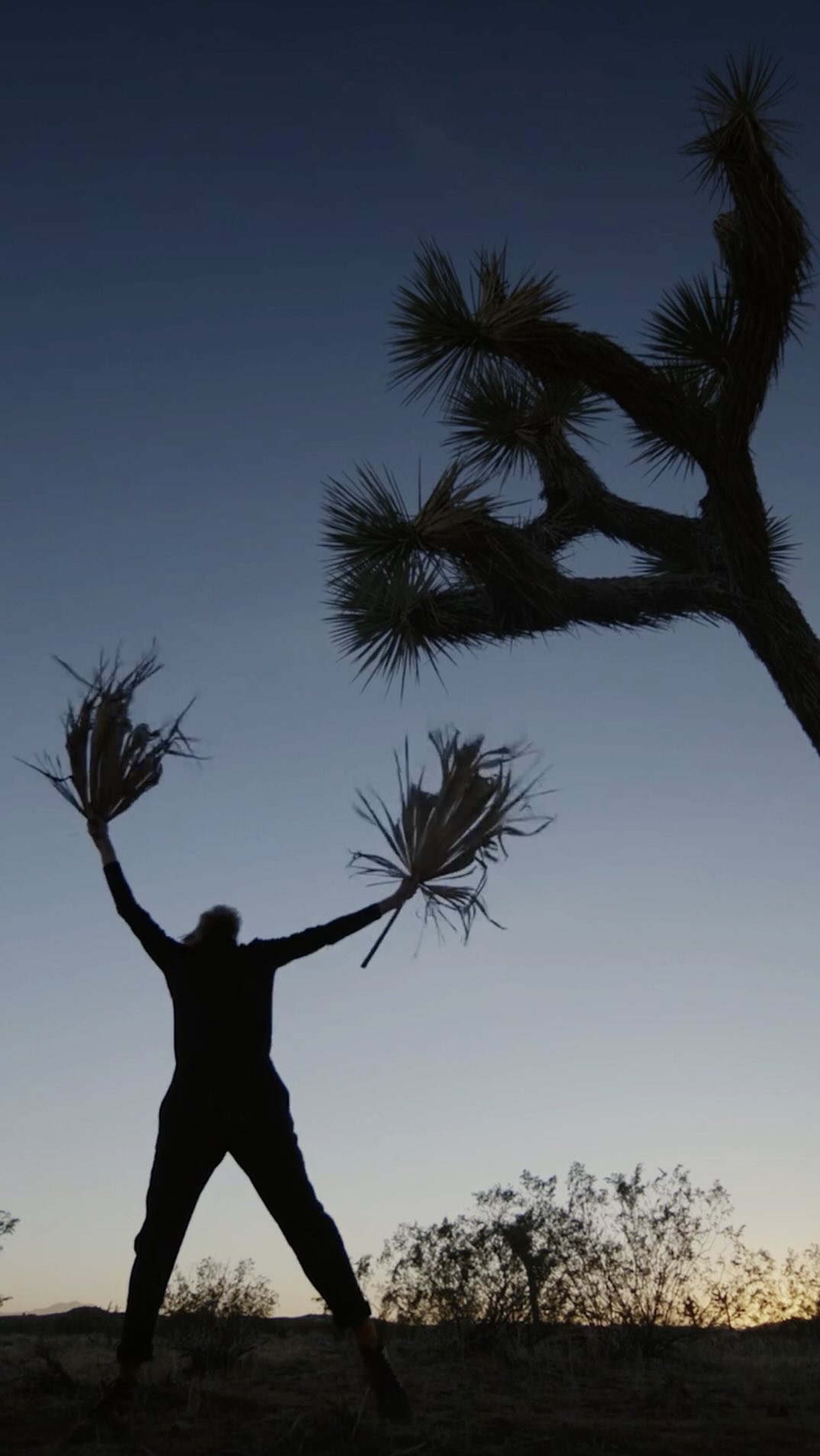 Silhouette of an adult reaching up towards a Joshua Tree at sunset in a sparse landscape with a clear sky and arid climate.