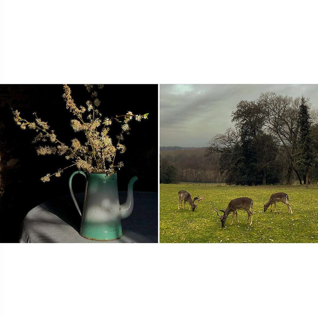 Still life of a green pitcher with flowers contrasts with a landscape featuring grazing deer under an overcast sky, displayed side-by-side.