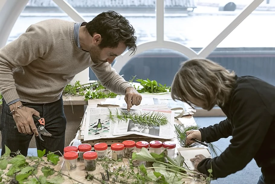 Two people inspect greenery and plants displayed on a newspaper-covered table, surrounded by small jars, in a bright indoor space.
