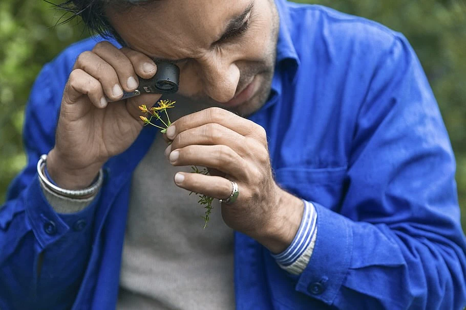 Adult male examining a small yellow flower closely with a magnifying loupe in an outdoor setting, wearing a blue jacket.