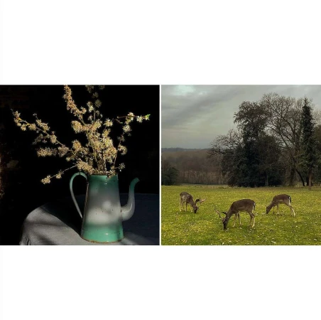 Diptyque image featuring a teal and white coffee pot with small white flowers on the left and deer grazing in a meadow on the right.