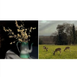 Diptyque image featuring a teal and white coffee pot with small white flowers on the left and deer grazing in a meadow on the right.
