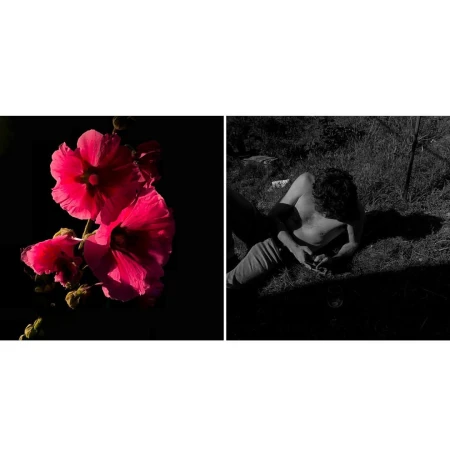 Diptych image featuring bright pink flowers on the left and a shirtless man resting on grass on the right