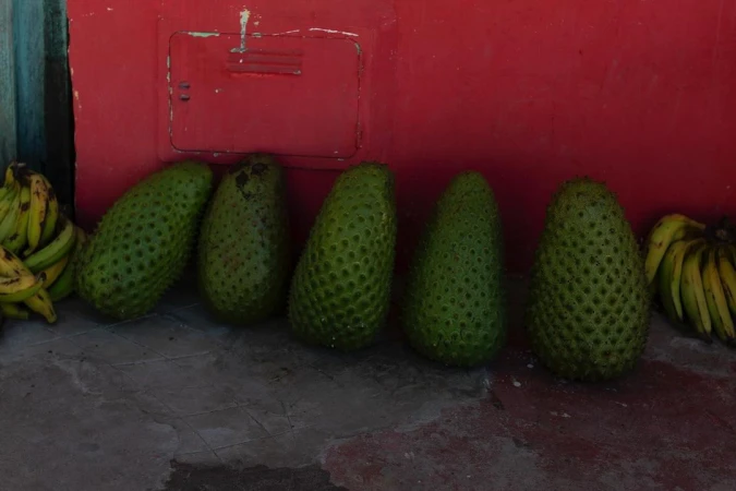 Five large green soursop fruits lined up against a bright red wall with bunches of bananas on either side by Jair Lanes