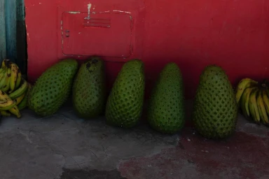 Five large green soursop fruits lined up against a bright red wall with bunches of bananas on either side by Jair Lanes