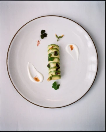 Gourmet food presentation: vertically stacked green zucchini slices with white sauce and green herbs on a round white plate.