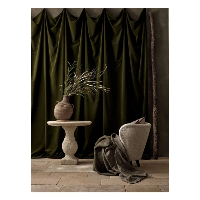 Interior setting with a green velvet curtain backdrop, table with vase, and neutral-toned armchair. Cozy, elegant indoor composition.