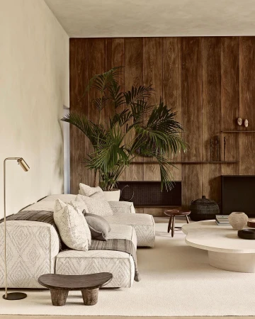 Living room interior featuring a patterned sofa, light rug, dark wood accent wall, potted plant, and neutral tones in a modern setting.