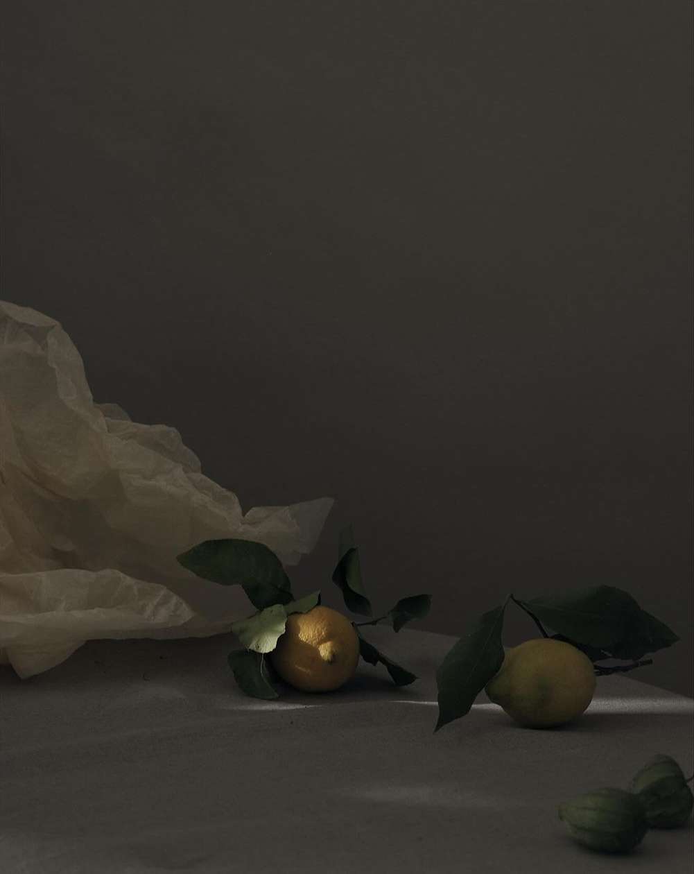 Still life photograph featuring citrus fruits with leaves on a table, with draped fabric in the background, and soft, diffused lighting.