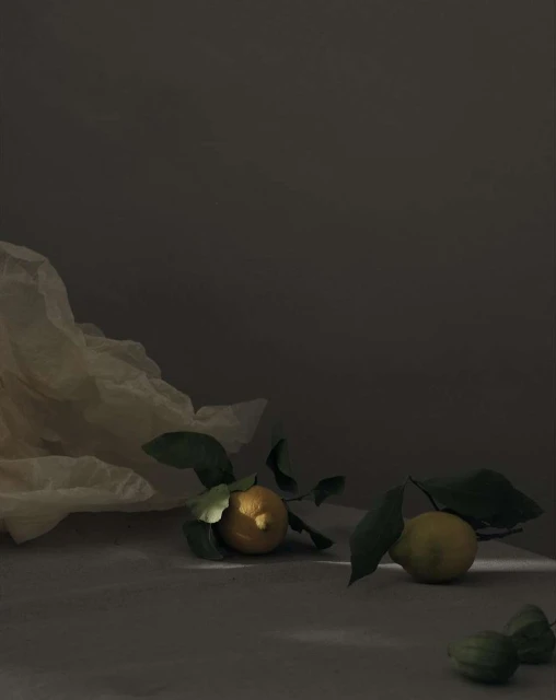 Still life photograph featuring citrus fruits with leaves on a table, with draped fabric in the background, and soft, diffused lighting.