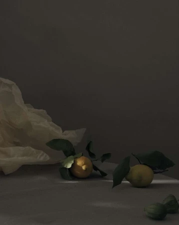 Still life photograph featuring citrus fruits with leaves on a table, with draped fabric in the background, and soft, diffused lighting.