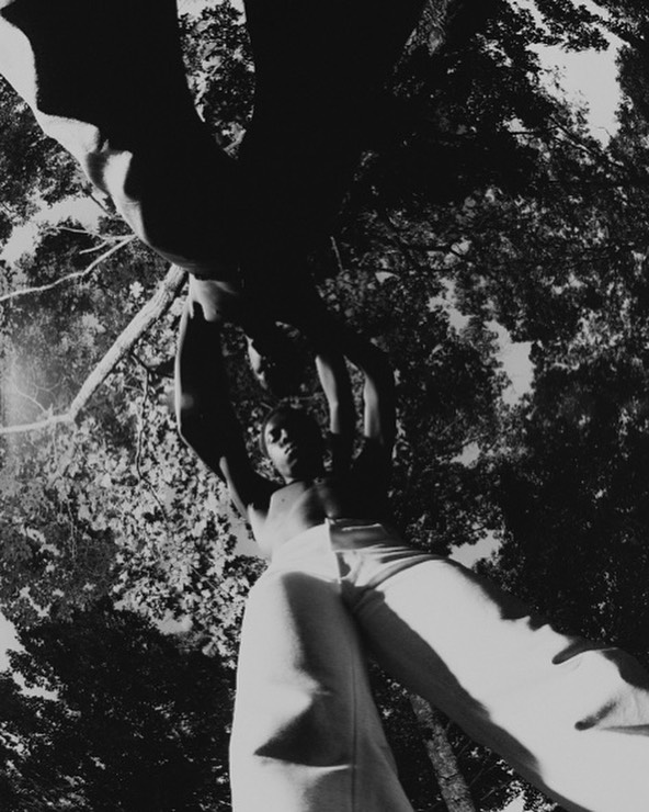 Low-angle shot of a Black person looking up into a tree canopy, creating a monochrome outdoor portrait featuring nature and model.