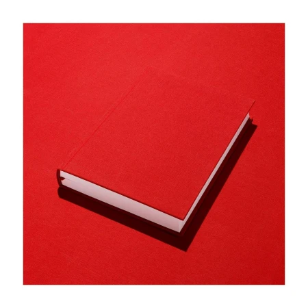 Overhead shot of a closed, red book lying on a matching red surface with slight shadow, simple and minimalistic.