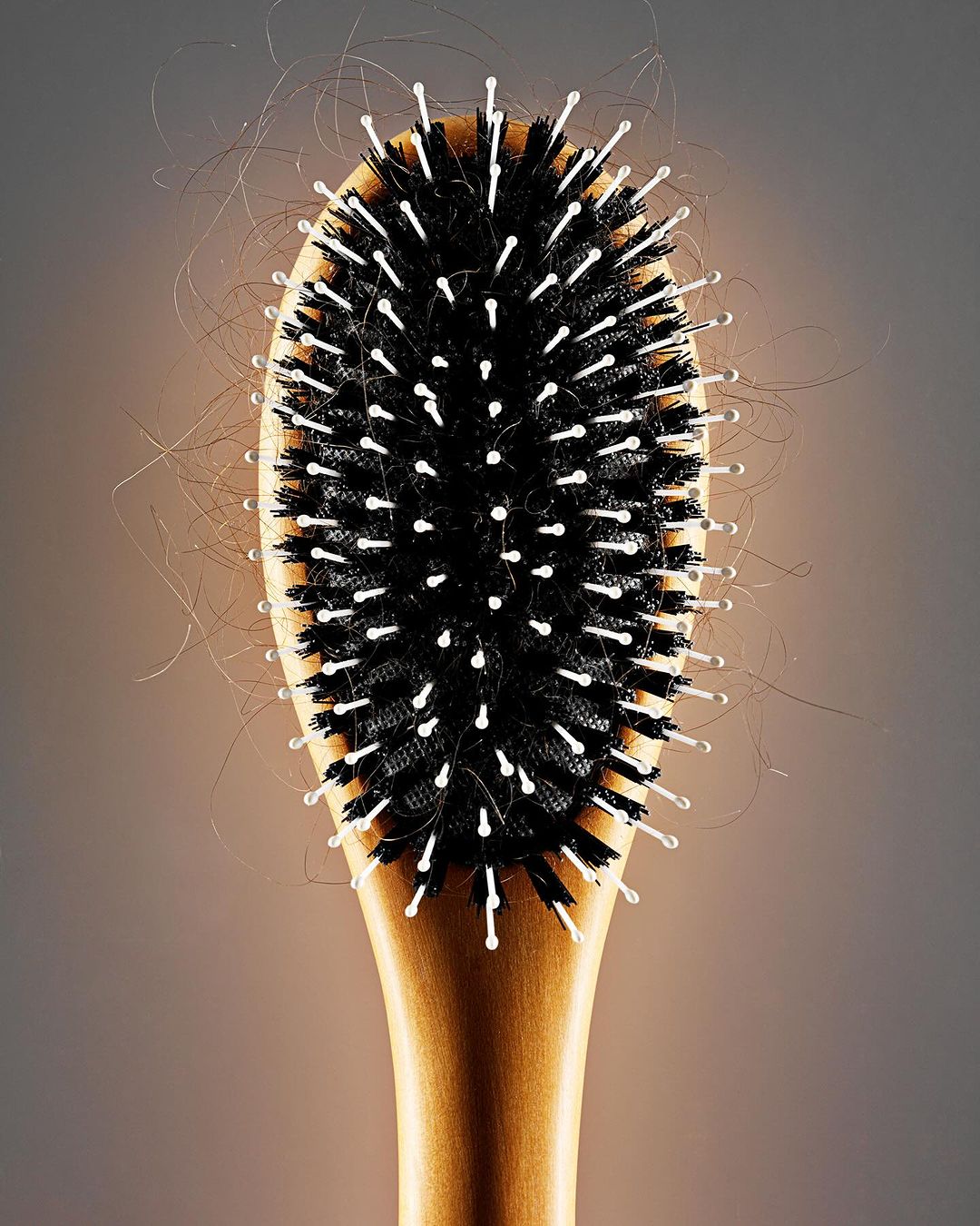 Close-up of a hairbrush with a wooden handle, black bristles, and white tips, set against a neutral background.
