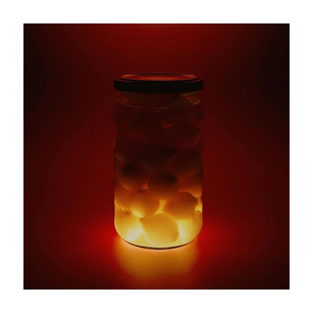 Glowing jar of preserved food against a reddish-orange background. Glass container filled with light-colored pickled spheres, moody lighting.