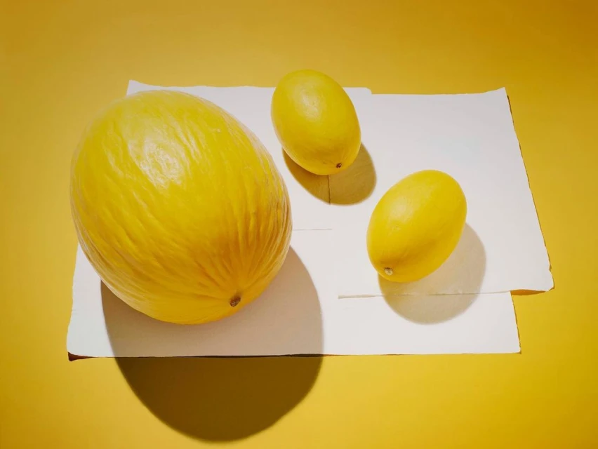 Still life shot featuring three yellow honeydew melons of different sizes on sheets of white paper against a solid yellow background.