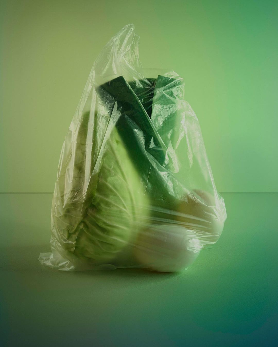 Close-up studio shot of cabbage, leek, and onion inside a clear plastic bag, lit by green gradient background lighting.