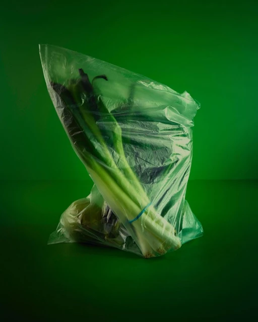 Produce in a plastic bag on a green backdrop: green onions and a round green object create a fresh, simple still life.