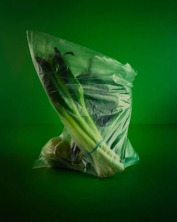 Produce in a plastic bag on a green backdrop: green onions and a round green object create a fresh, simple still life.