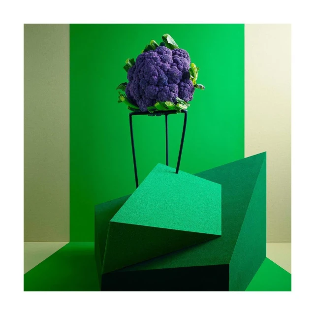 Vibrant purple cauliflower atop a black stand, geometric shapes below, against a green and beige backdrop. Still life food photography.