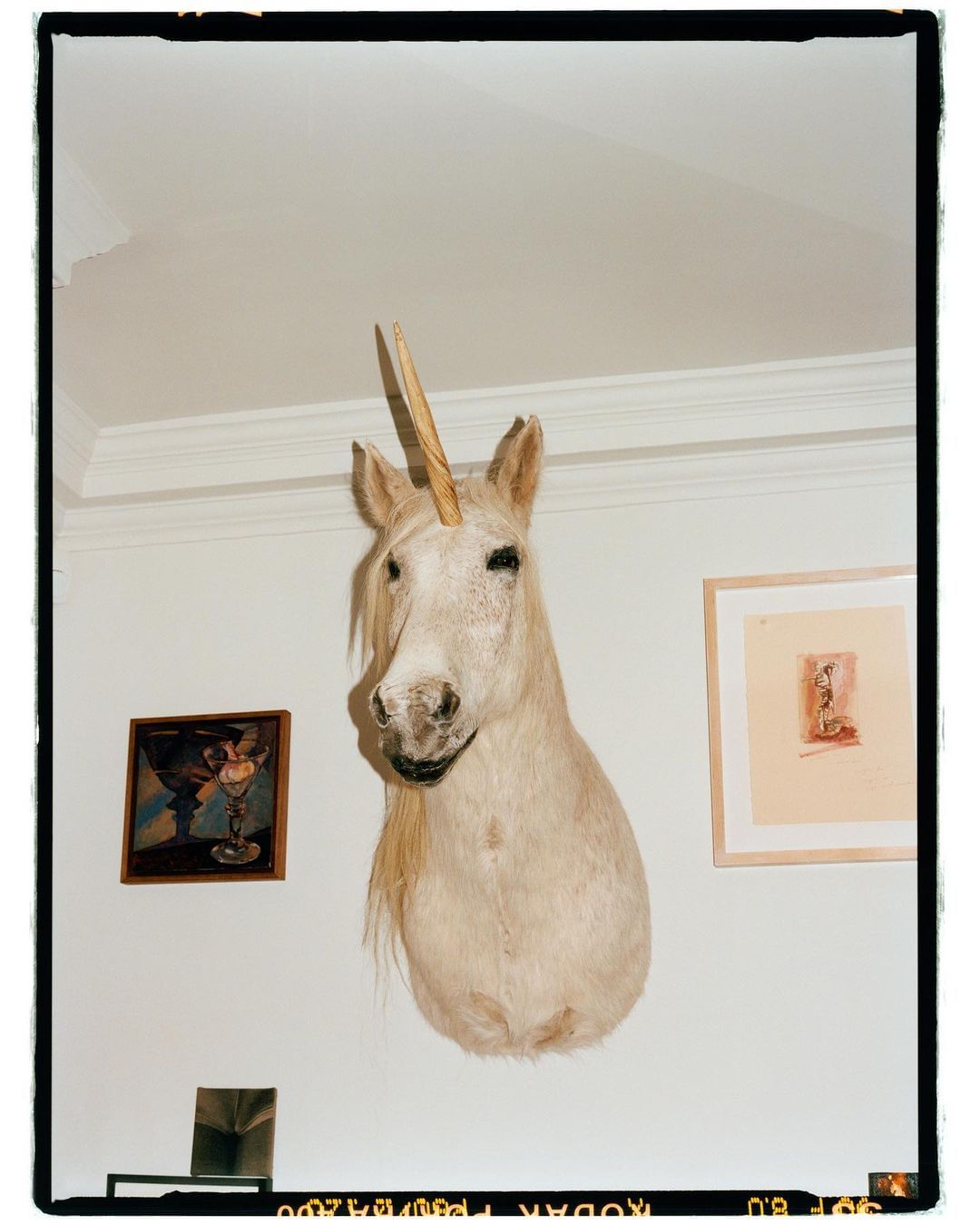 A taxidermied unicorn head mounted on a white wall, framed by framed paintings and decorative border, indoors.