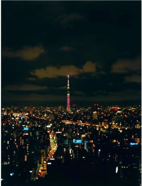 Night cityscape of Tokyo with the illuminated Tokyo Skytree in the distance, showing city lights, and a cloudy sky overhead.