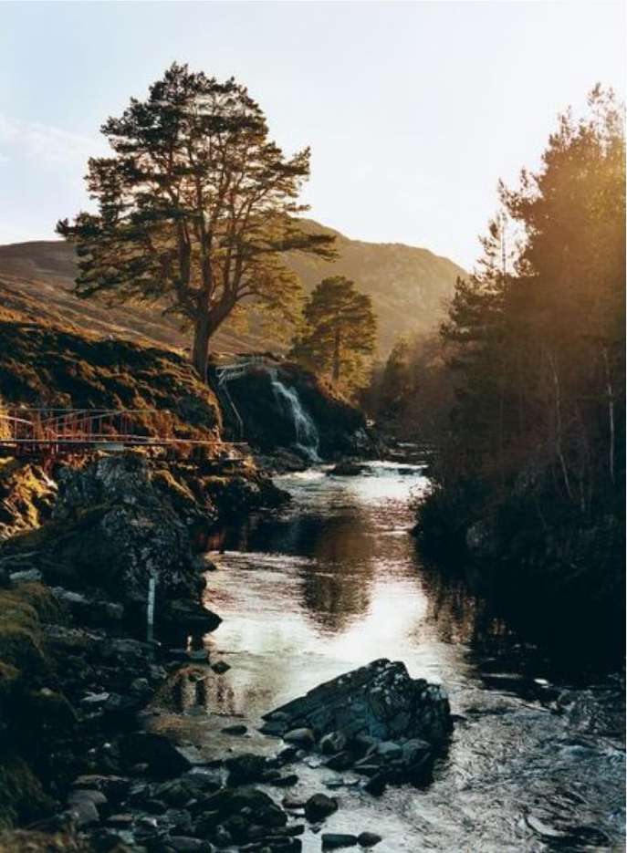 Scenic view of a river flowing through a lush landscape with trees and mountains, illuminated by sunlight.