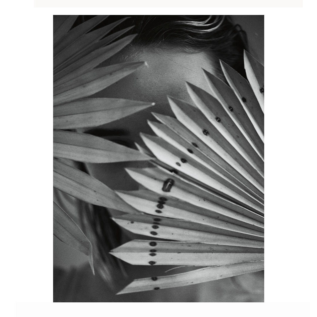 Monochrome portrait of a person partially obscured by palm fronds, creating a natural frame and emphasizing texture and form in neutral tones.