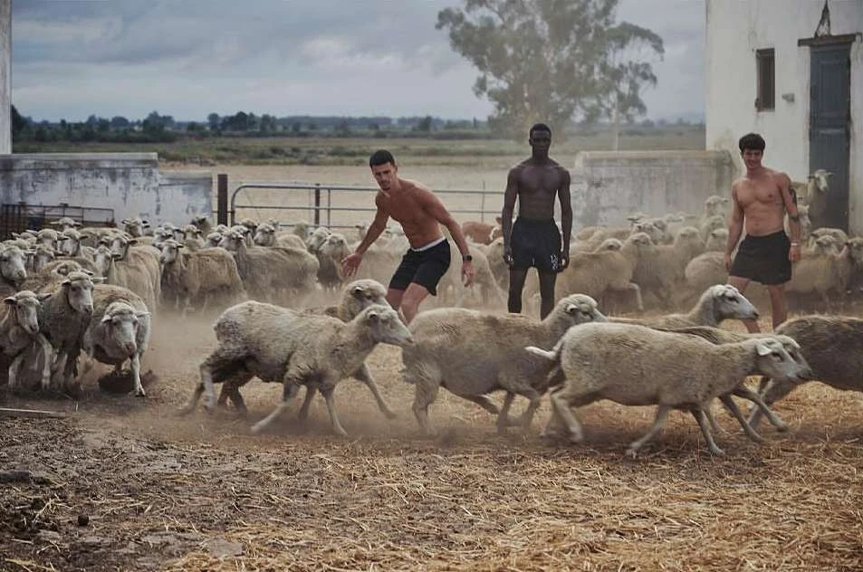Three shirtless men herd a large group of sheep in a rural outdoor enclosure surrounded by a whitewashed building and fields under a cloudy sky.
