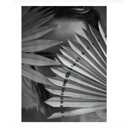 Monochrome portrait of a person partially obscured by large palm fronds in Cape Town captured by James Meakin.