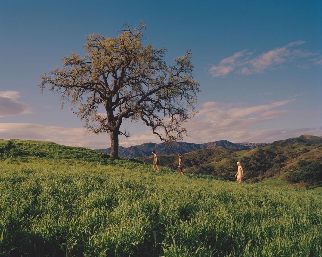 Three people walk in green meadow towards a mature tree against a backdrop of mountains under a clear blue sky with sparse clouds.