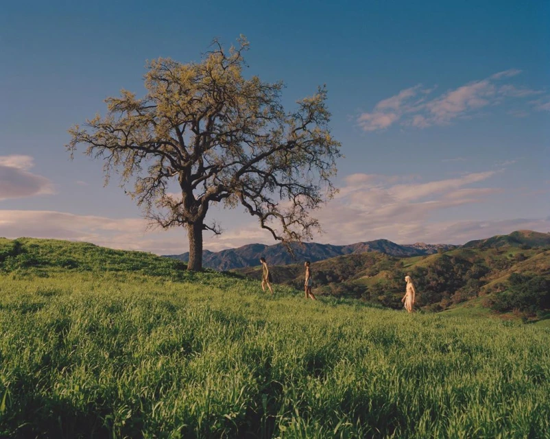 Three people walk in green meadow towards a mature tree against a backdrop of mountains under a clear blue sky with sparse clouds.