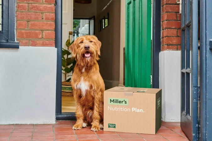 Dog sitting by a pet food delivery box near a green door on a red brick house, portraying convenience and nutrition for pets.