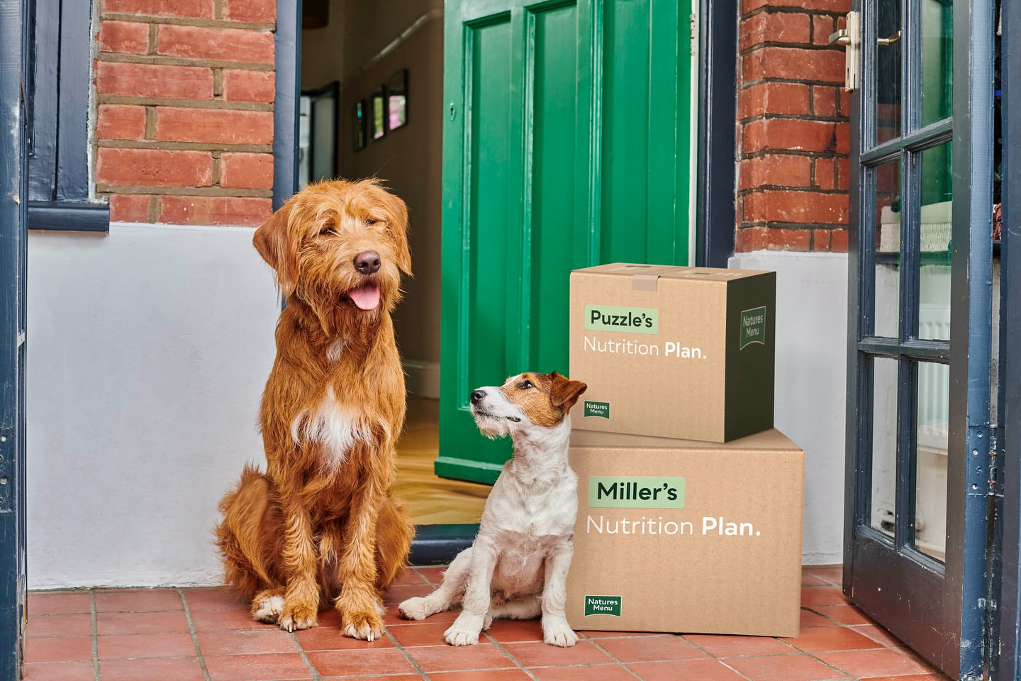 Two dogs, a golden doodle and a Jack Russell, sit on a brick porch in front of a green door next to two cardboard delivery boxes.
