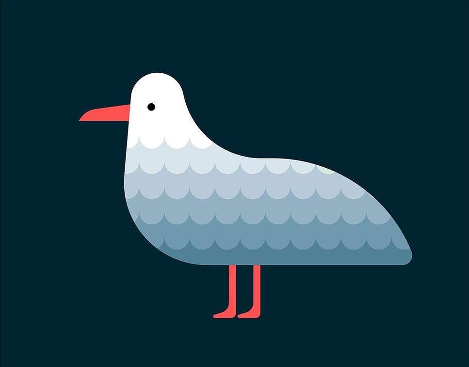 Digital illustration of a seagull with white, blue, and red colouration and a minimalist design on a dark blue background.