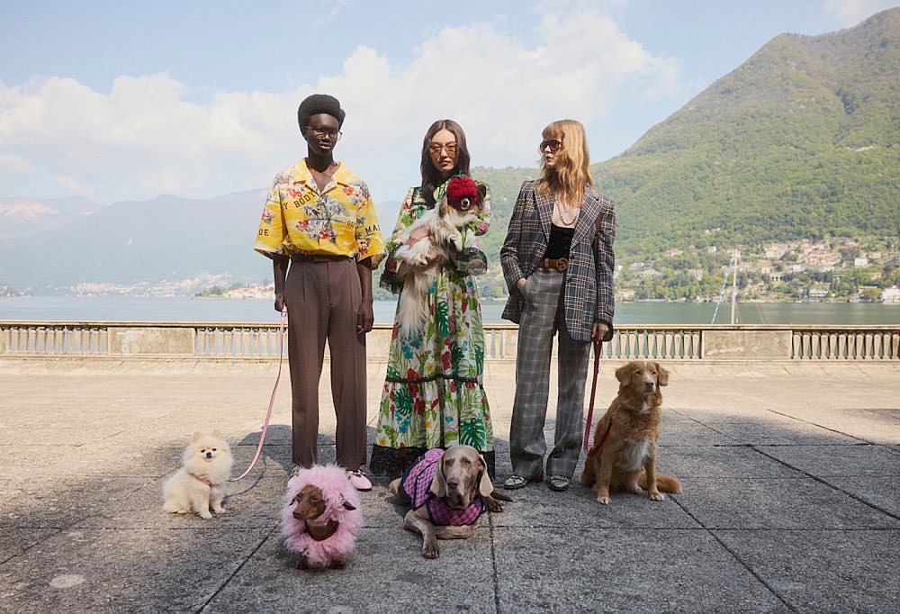 Three models stand with five dogs of varying breeds and sizes on a terrace overlooking a lake and mountain range. The scene is brightly lit.