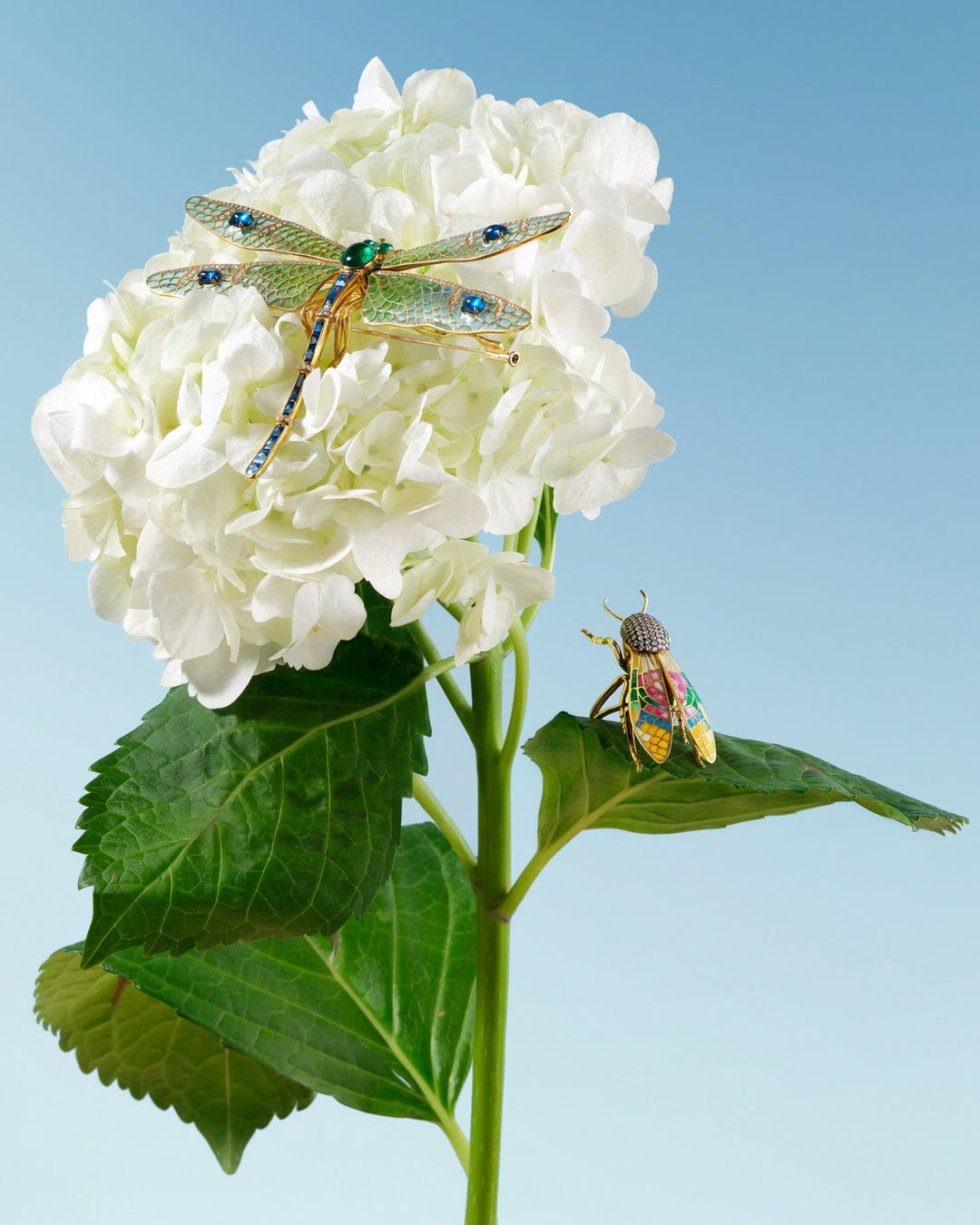 Close-up of a white hydrangea flower with two ornamental insect brooches: a dragonfly on the bloom and a colorful bee on the leaf.
