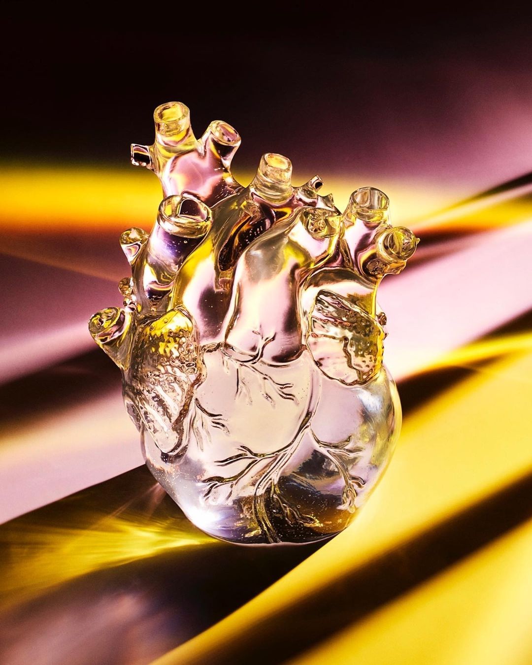 Photograph of a translucent anatomical heart model artfully illuminated with yellow and pink light casting shadows on a dark background.