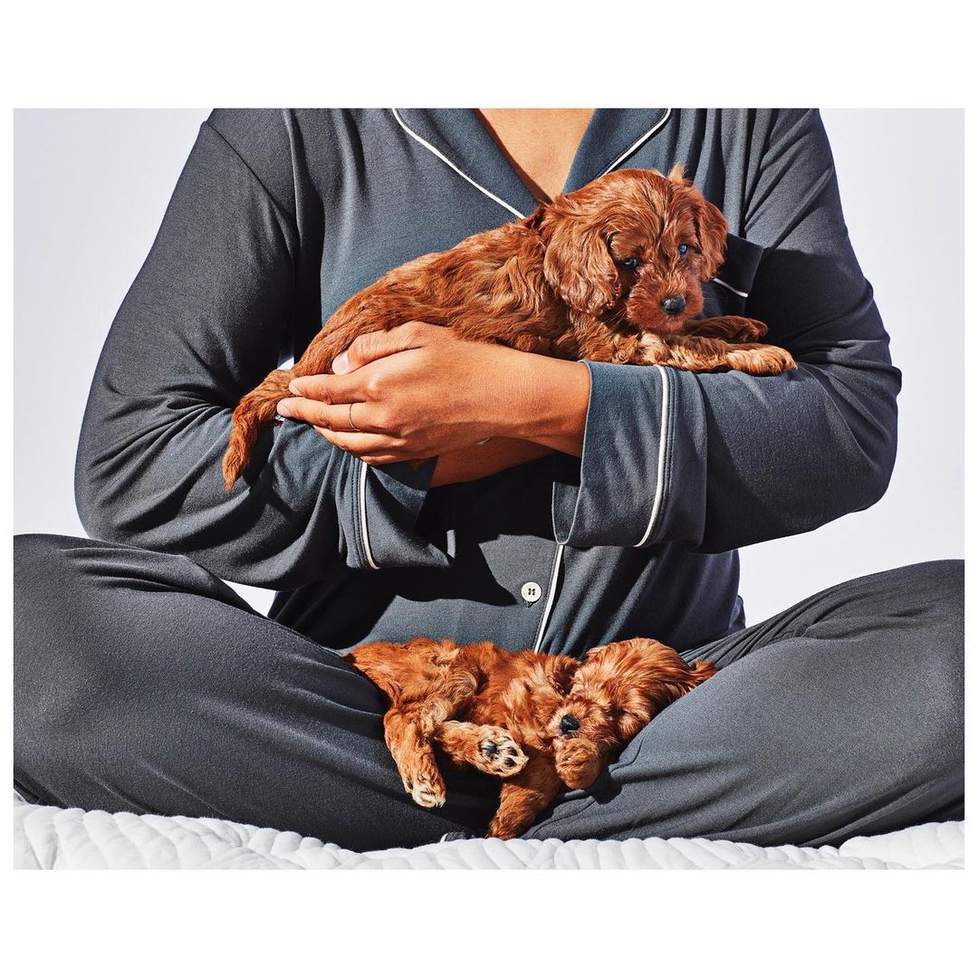 Person in pajamas holding two brown puppies. A person sits cross-legged holding a dog with another puppy laying across their lap.