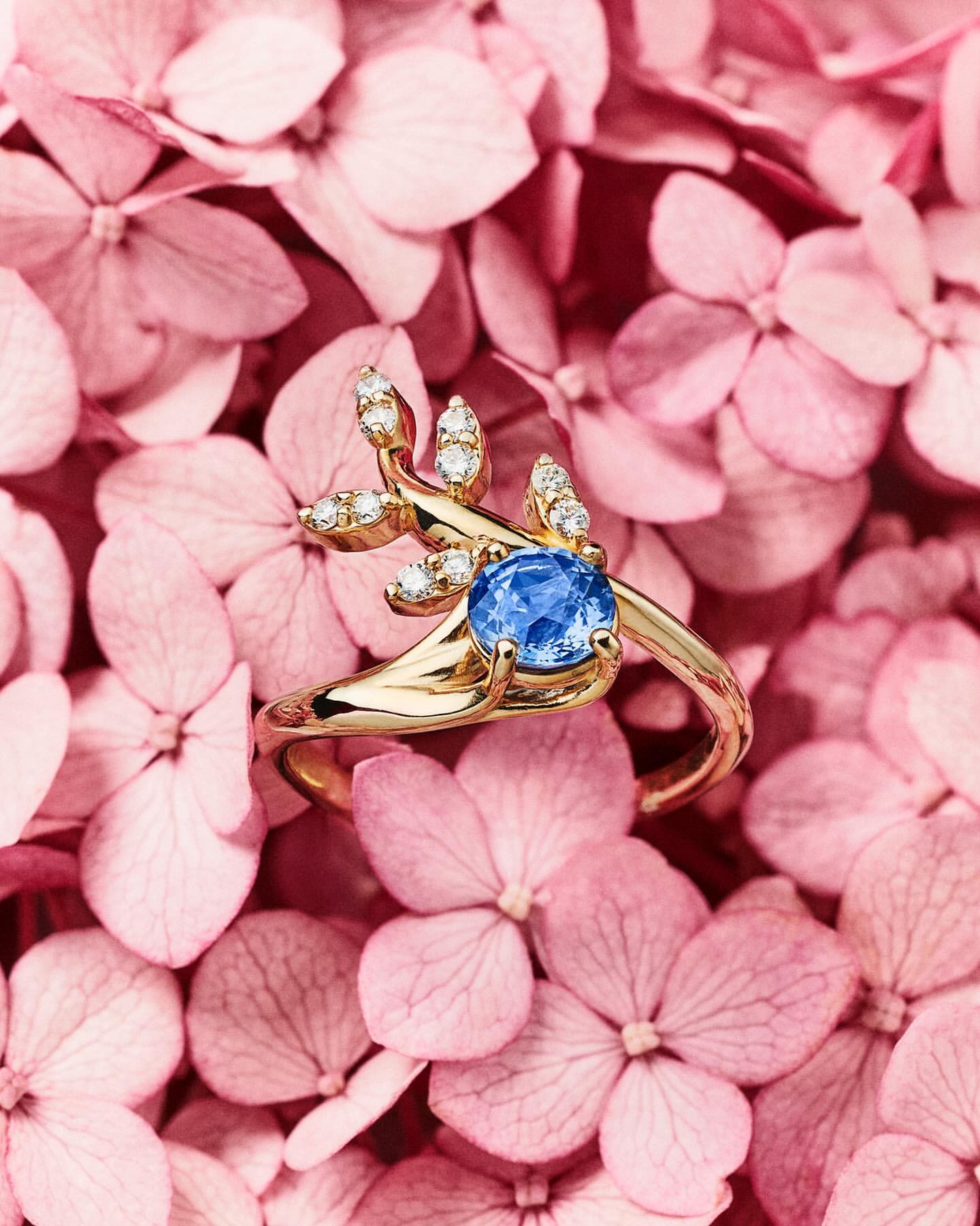 Close-up of a gold ring featuring a blue gemstone and diamond accents displayed on a bed of light pink hydrangea petals.