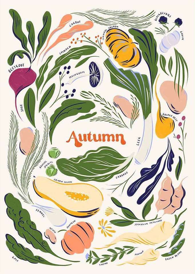 Illustration of autumn harvest vegetables and herbs including carrots, beetroot, squash, leeks, cabbage, kale, and parsnips.