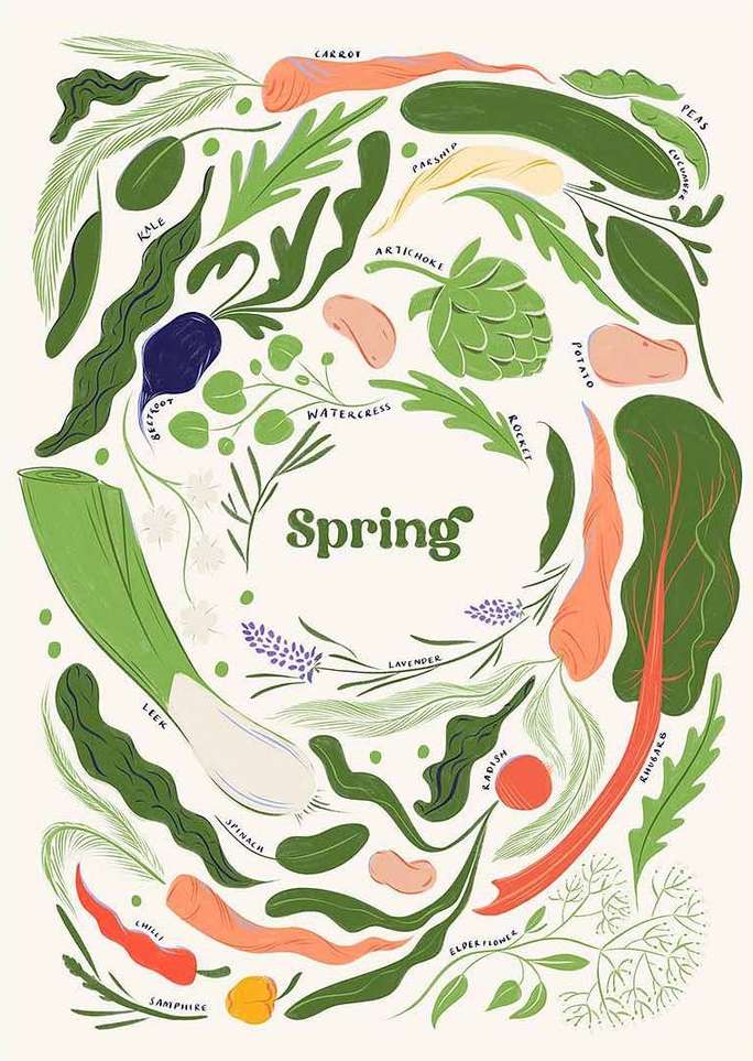 Whimsical food illustration featuring a variety of colorful spring vegetables, herbs, and the text 'Spring' in a light, airy design.