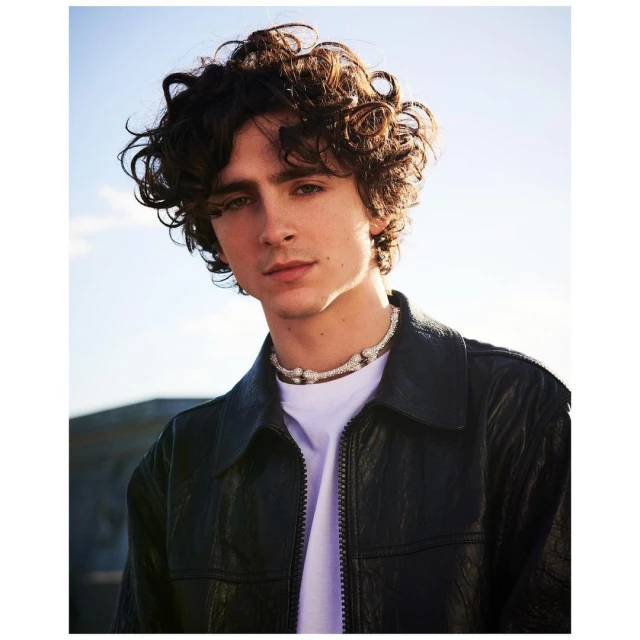 Portrait of Timothée Chalamet wearing a black jacket and necklace against a bright sky. He has dark, curly hair in a close-up.