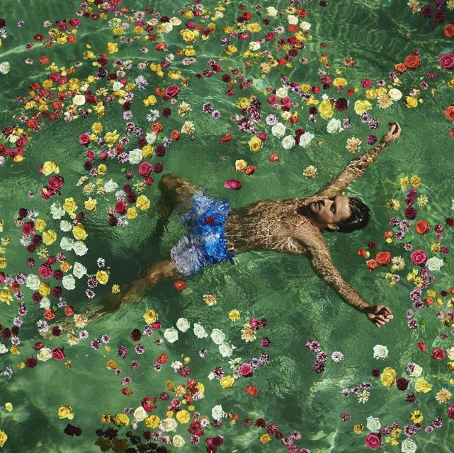 A man floats in green-tinted water among scattered flowers, viewed from directly above in this serene aquatic scene.
