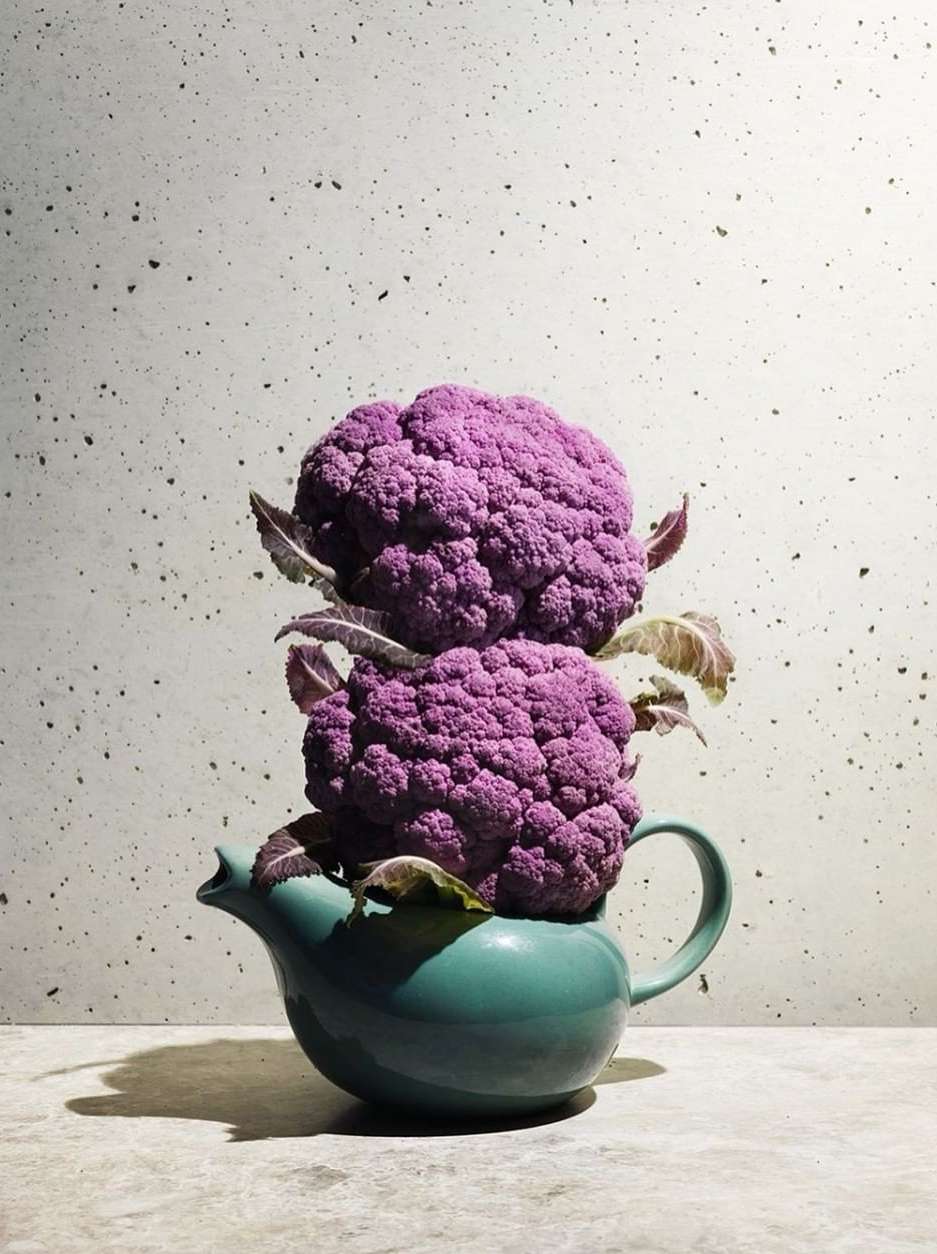 Purple cauliflower heads stacked on a teal ceramic teapot against a mottled concrete background, creating a striking still life.
