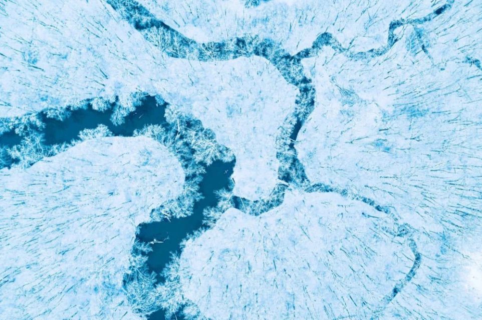 Aerial view of a river winding through a snow-covered forest with bare trees, creating a striking contrast between the dark water and white snow.