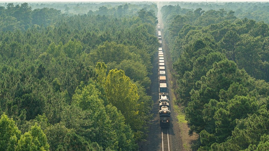 Aerial view of a long freight train moving through a dense forest, showcasing nature, transportation, and scenic woodland landscape.