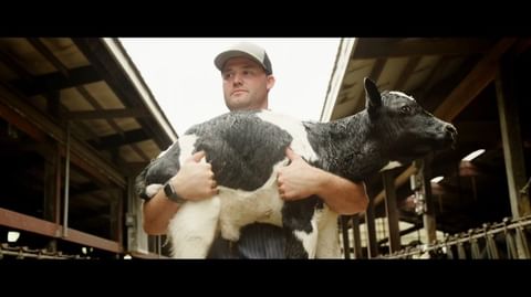 Adult man carrying black-and-white calf in barn setting. Man is wearing a cap and watch, looking off-camera. Calf is facing to the right.