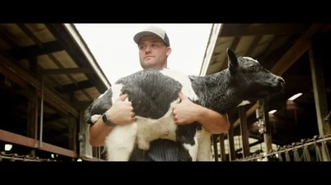 Adult man carrying black-and-white calf in barn setting. Man is wearing a cap and watch, looking off-camera. Calf is facing to the right.