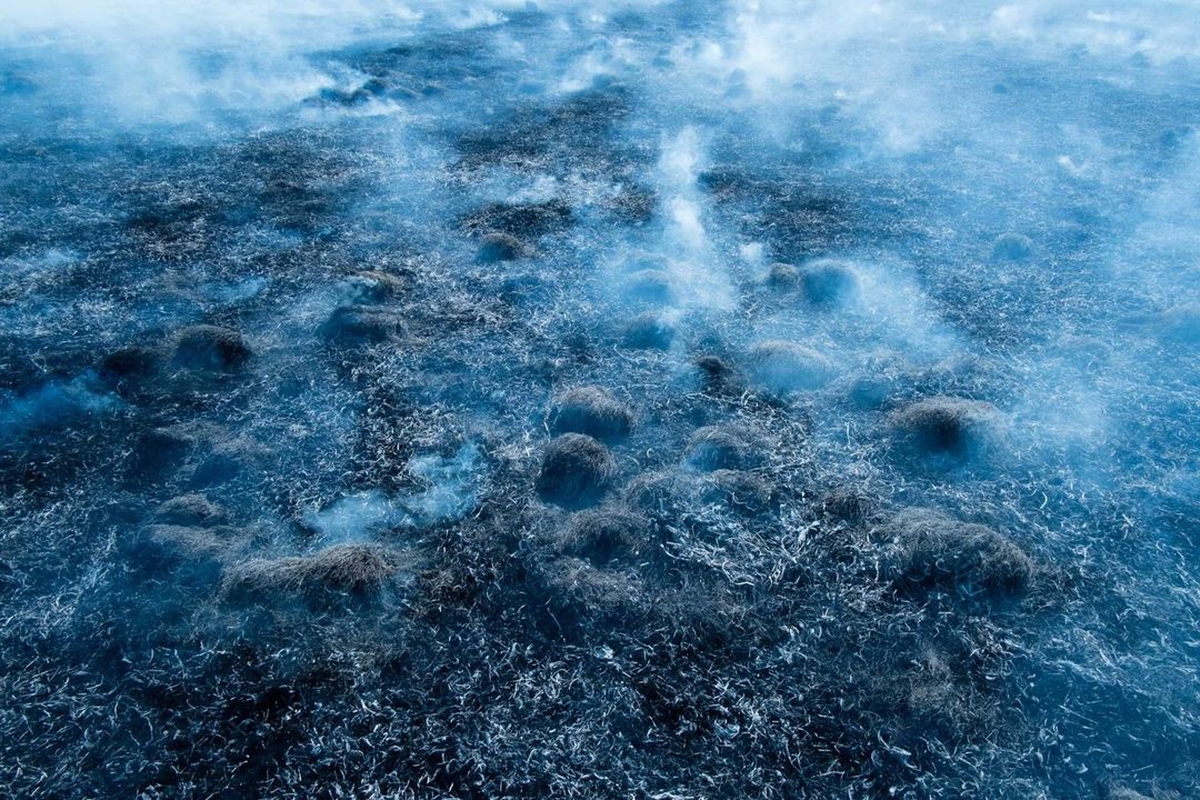 Abstract monochrome landscape featuring an open field with tufts of grass and light mist, with a cool blue color grading.